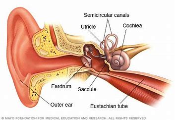 What is Ear Irrigation? - Winnie Sheppard Ear Care Practitioner